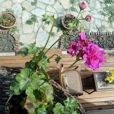 Maison d'hôtes Pina *