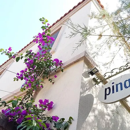 Pina * Ayvalı